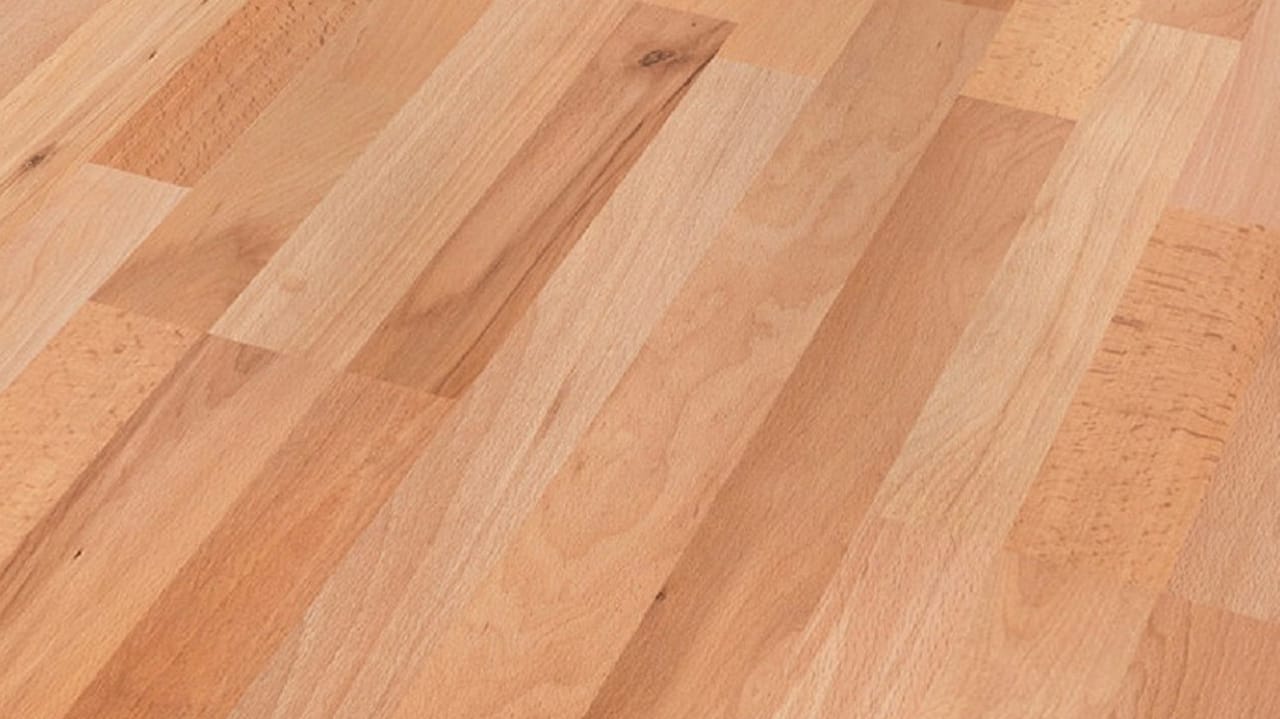 Buchen Laminat