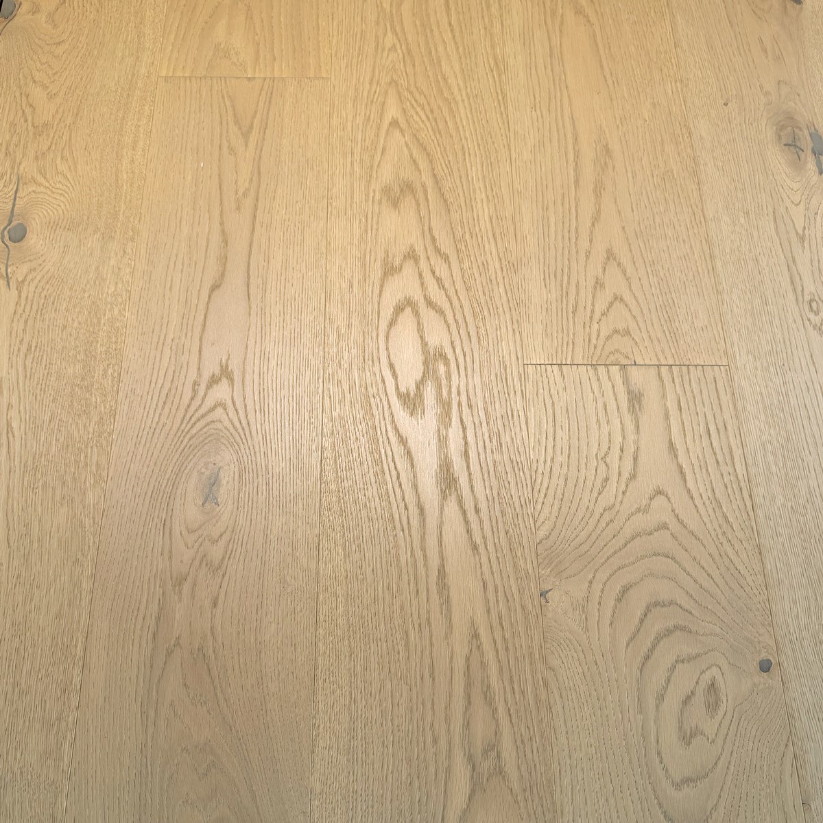 Cleos Click-Landhausdiele Eiche NOCOLA