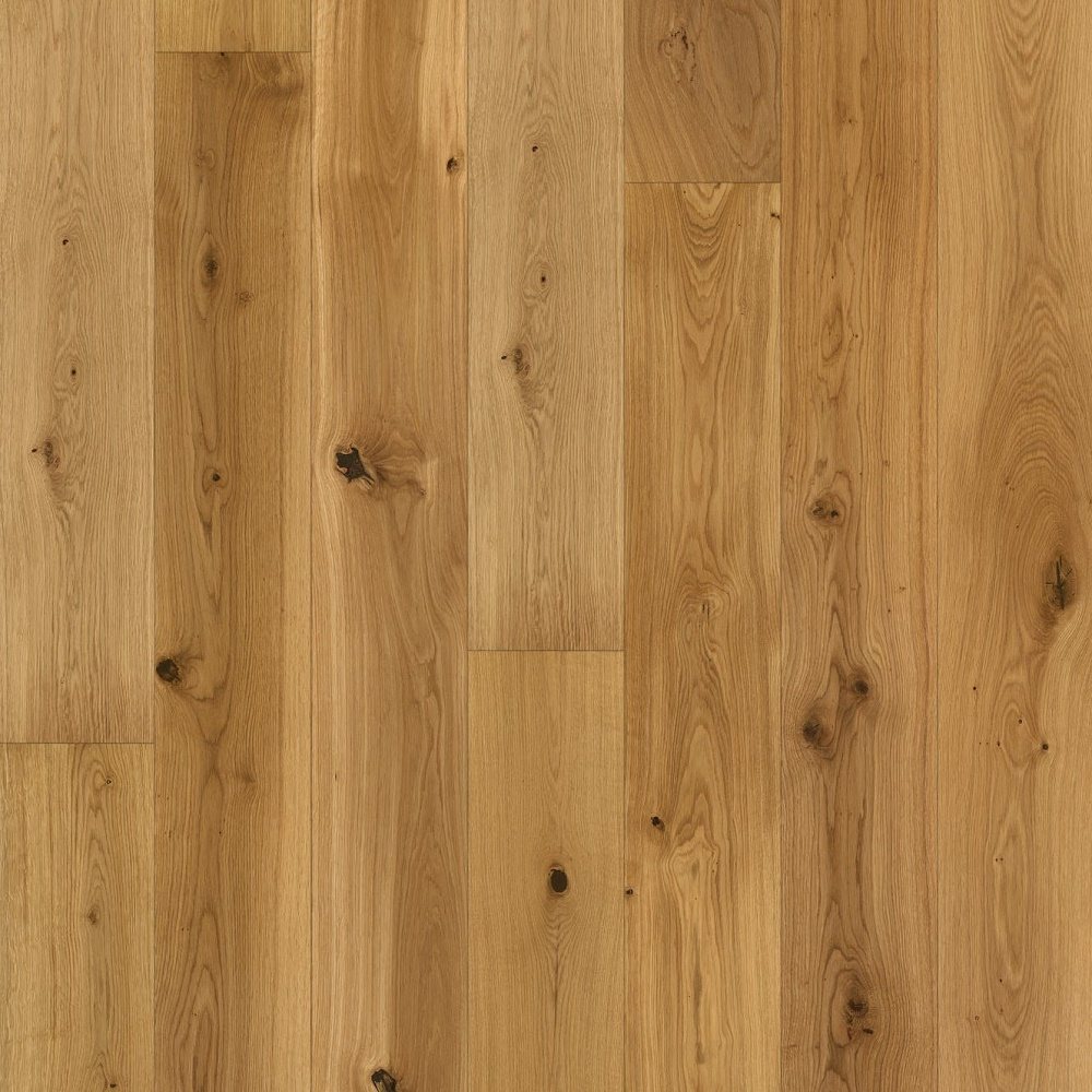 TERHÜRNE Eiche Markant TERHÜRNE Eiche Markant